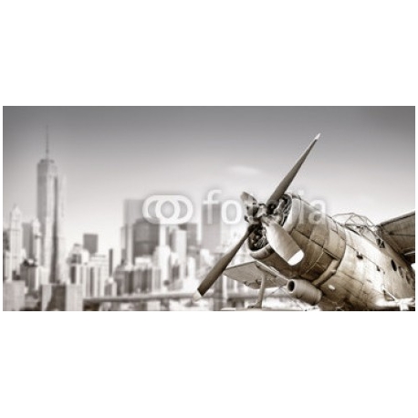 biplane against a skyline, 100x50, Papel Pared, Acabado ESTUCO, Original, Todo color