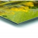 Aluminio