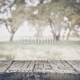 Blurred Nature Background with Instagram Style Filter, 250x250, Papel Pared, , Original, Todo color