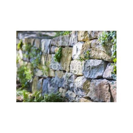 Natursteinmauer im Garten | Gartengestaltung , 350x250, Papel Pared, , Original, Todo color