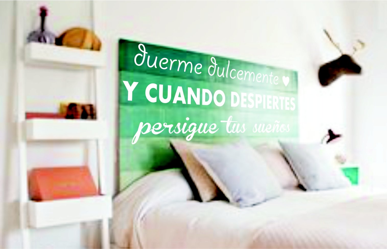 Vinilo Duerme Dulcemente
