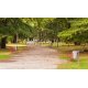Avenue of City Park with benches., 170x100, DIBOND (Aluminio), , Original, Todo color