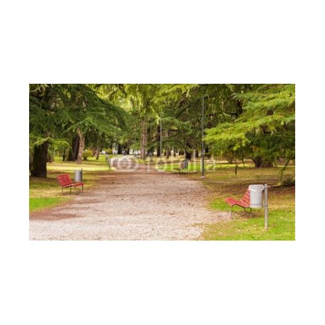Avenue of City Park with benches., 170x100, DIBOND (Aluminio), , Original, Todo color