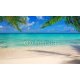 Caribbean sea and palm leaves., 500x300, Papel Pared, , Original, Todo color