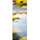 HERBSTBLAETTER IM TEICH, 80x220, Papel Pared, , Original, Todo color