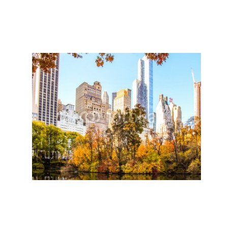 New York City Skyline from Central Park, 320x240, Papel Pared, , Original, Todo color