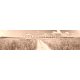 Summer road among flower fields, 400x100, Vinilo Adhesivo, Sin Laminado (3 años garantía en exterior/interior), Original, Sepia