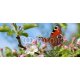 Frühling 427, 140x60, Vinilo Adhesivo, Laminado Mate (protección arañazos y rayos UVI), Original, Todo color