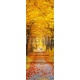 Autumn forest, 60x170, Vinilo Adhesivo, Vinilo Cristal (montaje por interior y ver desde fuera), Original, Todo color