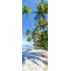 Palm trees casting shadows on waves washing ashore on a rustic Brazilian beach in remote Bahia, Brazil, 90x250, Lona, Lona opaca, Original, Todo color