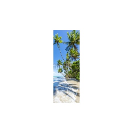 Palm trees casting shadows on waves washing ashore on a rustic Brazilian beach in remote Bahia, Brazil, 90x250, Lona, Lona opaca, Original, Todo color