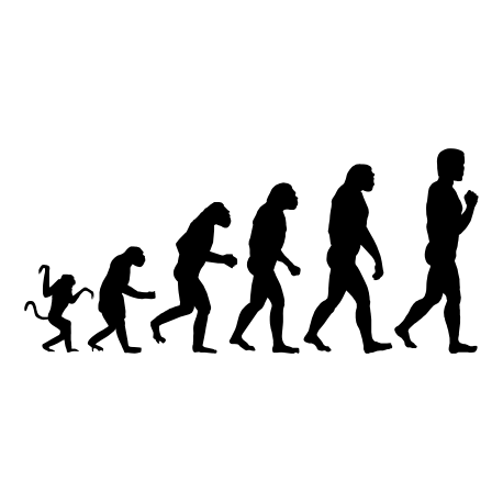 Vinilo evolucion, 100x45, Vinilo Autoadhesivo, Mate, Original, Negro-