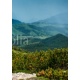 Green meadows and mountains, summer landscape, 170x240, Vinilo Adhesivo, Sin Laminado (3 años garantía en exterior/interior), Original, Todo color