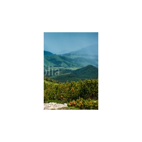 Green meadows and mountains, summer landscape, 170x240, Vinilo Adhesivo, Sin Laminado (3 años garantía en exterior/interior), Original, Todo color