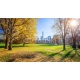 Central park in New York City at sunny autumn day, USA, 150x82, Metracrilato, CINTA ADHESIVA DOBLE CARA, Original, Todo color