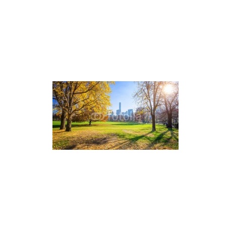Central park in New York City at sunny autumn day, USA, 150x82, Metracrilato, CINTA ADHESIVA DOBLE CARA, Original, Todo color