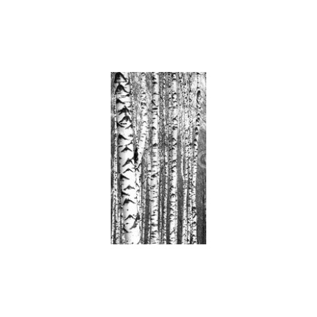 Spring trunks of birch trees black and white, 130x235, Vinilo Adhesivo, Sin Laminado (3 años garantía en exterior/interior), Original, Todo color