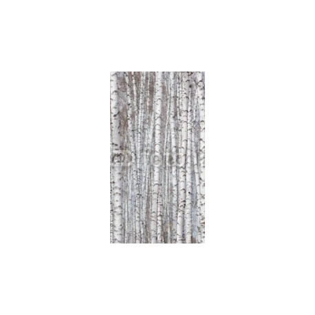 birch forest, 130x235, Vinilo Adhesivo, Sin Laminado (3 años garantía en exterior/interior), Original, Todo color