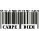 Vinilo Carpe Diem, 160x78, Vinilo Autoadhesivo, Mate, Original, Original-