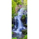 ツツジ咲く龍頭の滝, 64x159, Vinilo Adhesivo, Laminado Brillo (protección arañazos y rayos UVI), Original, Todo color