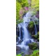 ツツジ咲く龍頭の滝, 66x161, Vinilo Adhesivo, Laminado Brillo (protección arañazos y rayos UVI), Original, Todo color