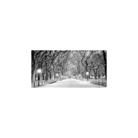 Central Park, NY covered in snow at dawn, 120x60, Papel Pared, Acabado ARENADO, Original, Blanco y negro