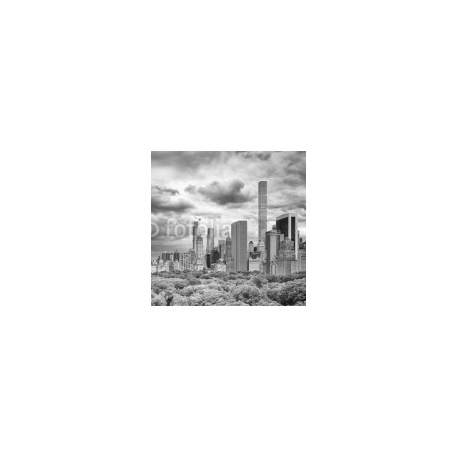 Stormy sky over the Central Park and Manhattan skyline, New York, USA., 1x1, Papel Pared, Acabado LISO, Original, Todo color