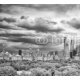 Stormy sky over the Central Park and Manhattan skyline, New York, USA., 200x180, Papel Pared, Acabado LISO, Original, Blanco y negro