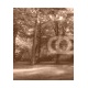 Grünes Wald Panorama im Sommer, 27x32, Papel Pared, Acabado LISO, Original, Sepia