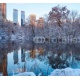 Central Park. New York. USA in winter, 230x210, Papel Pared, Acabado ARENADO, Original, Todo color