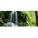 Beautiful waterfall in the garden, 161x67, Vinilo Adhesivo, Laminado Brillo (protección arañazos y rayos UVI), Original, Todo color