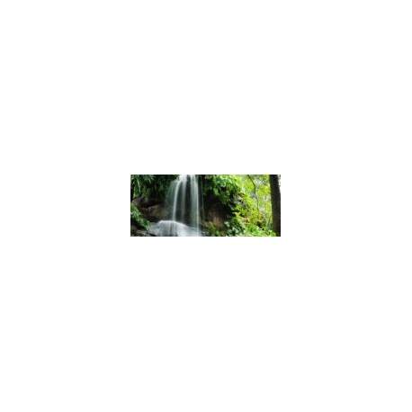 Beautiful waterfall in the garden, 161x67, Vinilo Adhesivo, Laminado Brillo (protección arañazos y rayos UVI), Original, Todo color
