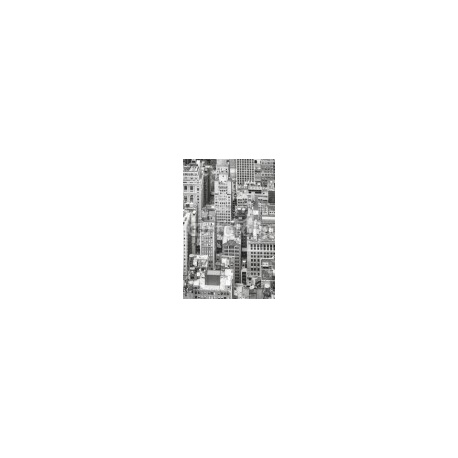 Black and white aerial picture of the Manhattan, New York City, USA., 58x88, Vinilo Adhesivo, Vinilo Backlight (para retroiluminar cristales o metacrilatos), Original, Todo color
