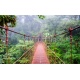 Bridge in Rainforest - Costa Rica - Monteverde, 250x152, Forex (PVC), Forex (PVC) 5 mm. , Original, Todo color