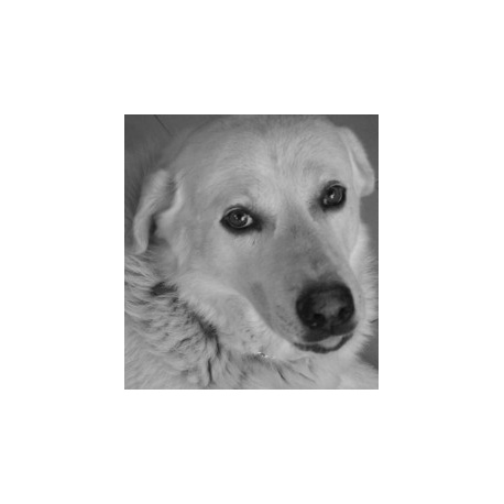 Fotomural personalizado, 88x95, Vinilo Adhesivo, Sin Laminado (3 años garantía en exterior/interior), Original, Blanco y negro