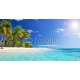 Palm Beach In Tropical Paradise-Guadalupe Island-Caribbean, 140x74, Vinilo Adhesivo, Laminado Mate (protección arañazos y rayos UVI), Original, Todo color