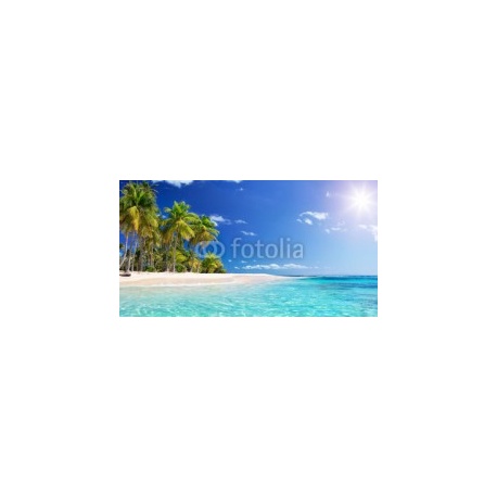 Palm Beach In Tropical Paradise-Guadalupe Island-Caribbean, 140x74, Vinilo Adhesivo, Laminado Mate (protección arañazos y rayos UVI), Original, Todo color