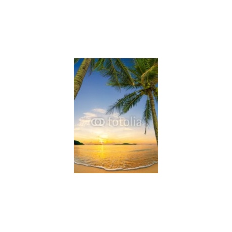 Tropical beach in Koh Samui, 132x180, Vinilo Adhesivo, Laminado Brillo (protección arañazos y rayos UVI), Original, Todo color