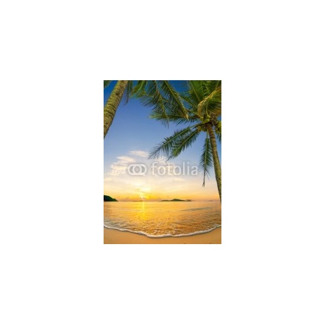Tropical beach in Koh Samui, 130x180, Vinilo Adhesivo, Laminado Mate (protección arañazos y rayos UVI), Original, Todo color