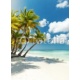 White sandy beach with sea and palms, 130x180, Vinilo Adhesivo, Laminado Mate (protección arañazos y rayos UVI), Original, Todo color