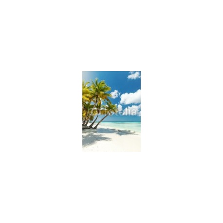 White sandy beach with sea and palms, 130x180, Vinilo Adhesivo, Laminado Mate (protección arañazos y rayos UVI), Original, Todo color