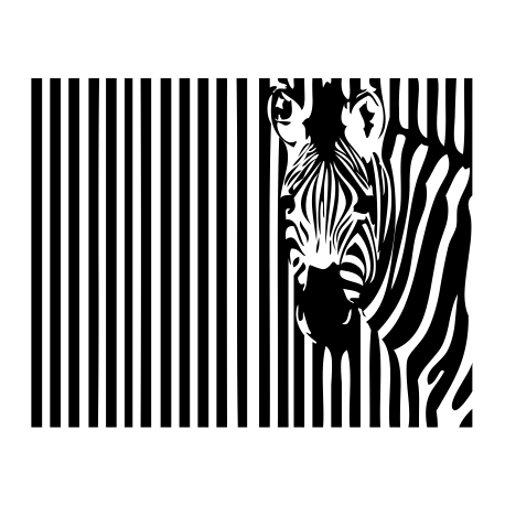 Vinilo animales cebra, 150x117, Vinilo Plantilla, Colores Especiales, Original, Original-