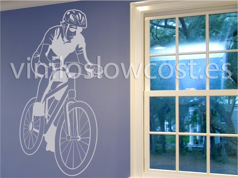Vinilo ciclista