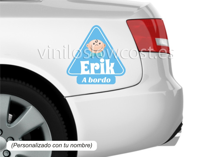 Vinilo a todo color 0002