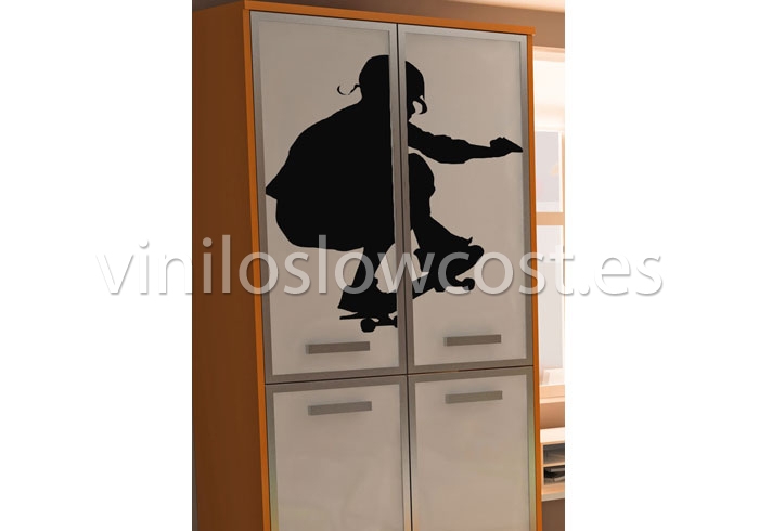 Vinilo skater