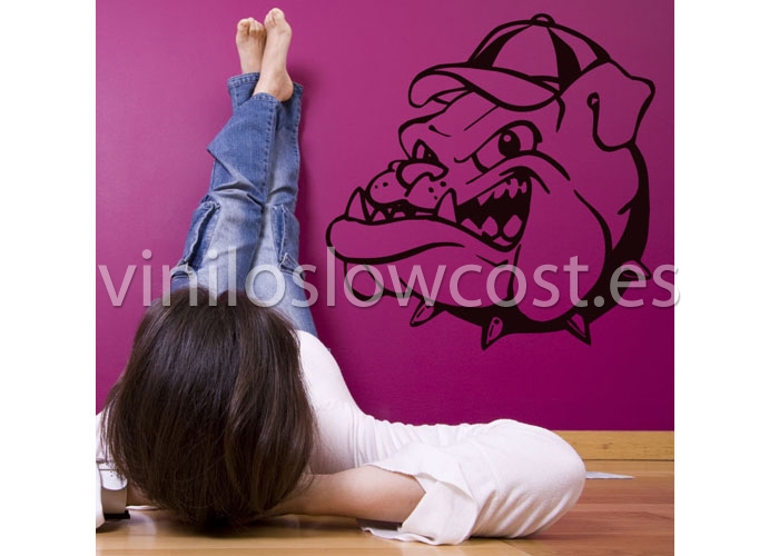 Vinilo bull dog warner