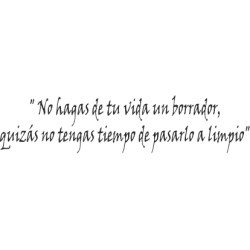 Vinilo no hagas de tu vida un borrador