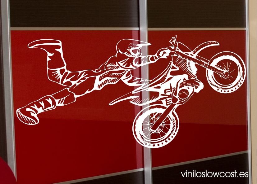 Vinilo motocross